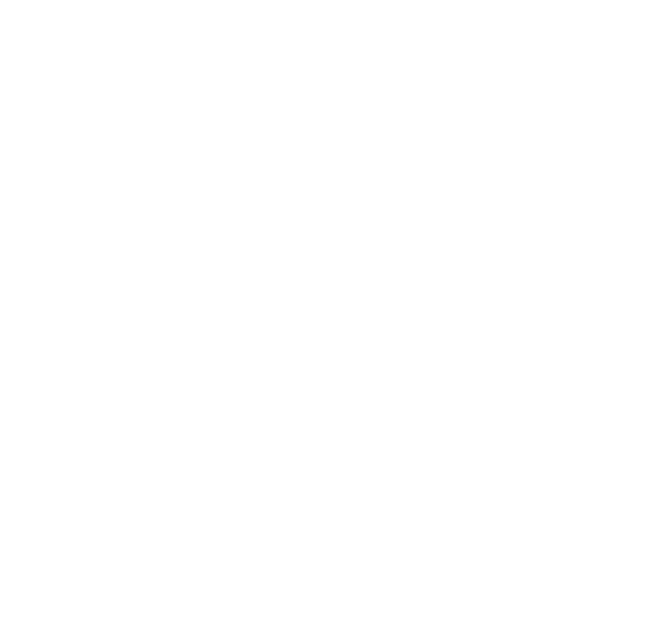 Client, Partner, Verizon Wireless